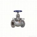 API Globe Valve