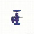 DIN Angle Type Globe Valve