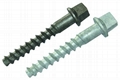 screw spike 2