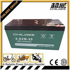 Maintenance Free Lead Acid Electric Bike Battery