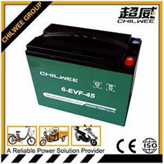 SLA Lead Acid Electric Bicycle Battery