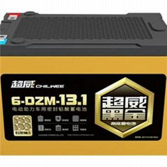 Deep Cycle Lead Acid Electric Bicycle Battery