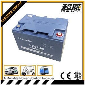 Maintenance Free Lead Acid Electric Scooter Battery