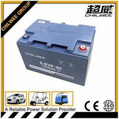 Maintenance Free Lead Acid Electric Scooter Battery