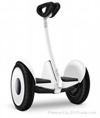 Electric  Balancing Scooter Smart System