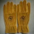 New products cow full grain leather drivers gloves safety protective driving glo 3