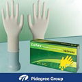 Disposable Latex Protection Glove 4