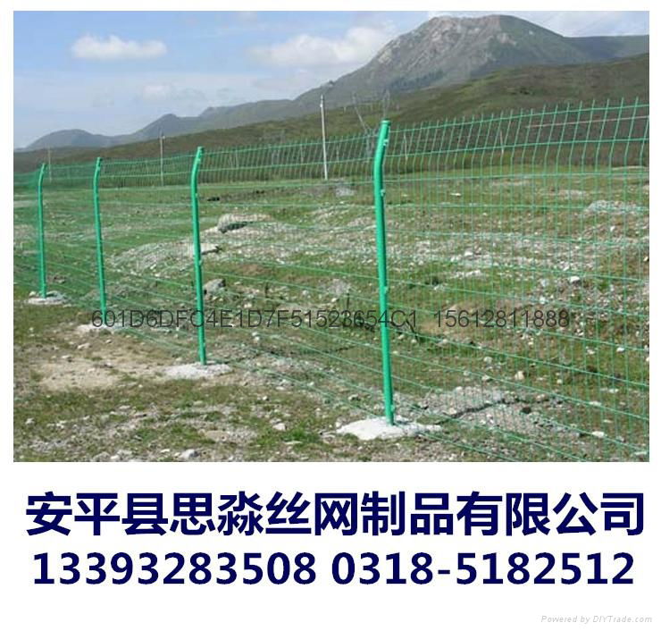 河北现货库存1.8*3.0m双边丝护栏网 4