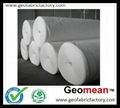 800GSM Filament PET/PP spunbonded needled punched non woven geotextile fabric 1