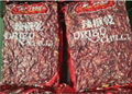 dry red chili 3