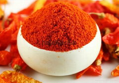 chili powder 