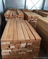 Romanian Beech, Brich and Pine Lumber 1