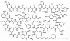 Liraglutide