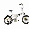 20' Electric Folding Bike With Hidden Battery JB-TDN06Z 1