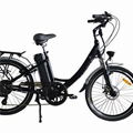 24' Low Stepthrough Electric Bike For