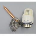 capillary thermostat with copper tube 2