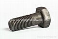 Hex Bolts ASTM A325 TYPE 1 5