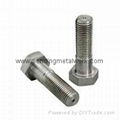 Hex Bolts DIN 6914 CL.HV-10.9