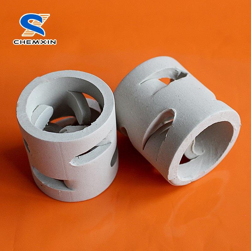 Liquid and Gas Freely Pass Ceramic Pall Ring Tower Packing 3