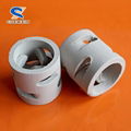 Liquid and Gas Freely Pass Ceramic Pall Ring Tower Packing 3