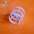 PP, PE, PVC, CPVC, PVDF Plastic pall ring for plastic random packings