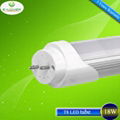 Hot Sale T8 LED Tube 18W 4ft High PF T8 LED Tube Light CE&ROHS E-Lover 3