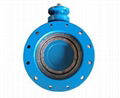 Butterfly Valve 3