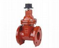 Gate Valve