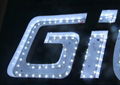  acrylic galvanized sheet bulb letters 2