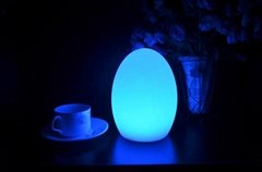 19Cm Color Changing Egg Mood Light LED Table Lamp - Rechargeable