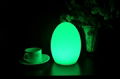 19Cm Color Changing Egg Mood Light LED Table Lamp - Rechargeable 2