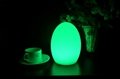19Cm Color Changing Egg Mood Light LED Table Lamp - Rechargeable