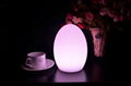 19Cm Color Changing Egg Mood Light LED Table Lamp - Rechargeable 3
