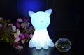 LED Mood Light Night Lamp - Animal Cat