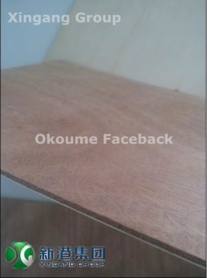 Xingang Thin Plywood 2.7-3mm Melamine Paper Okoume Faceback