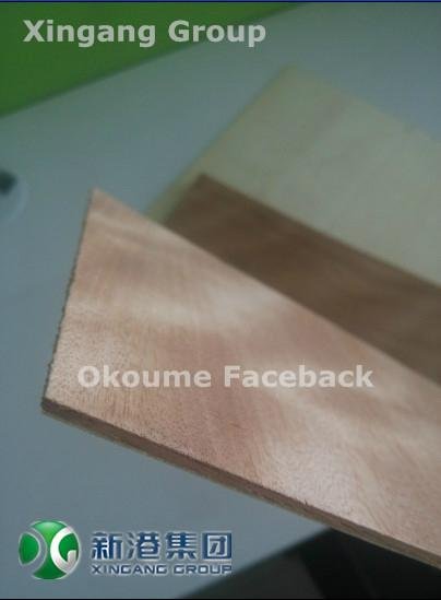 Xingang Thin Plywood 2.7-3mm Melamine Paper Okoume Faceback 2