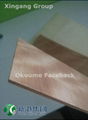 Xingang Thin Plywood 2.7-3mm Melamine Paper Okoume Faceback 2