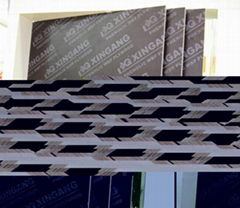 Xingang Construction Plywood Phenolic Plywood