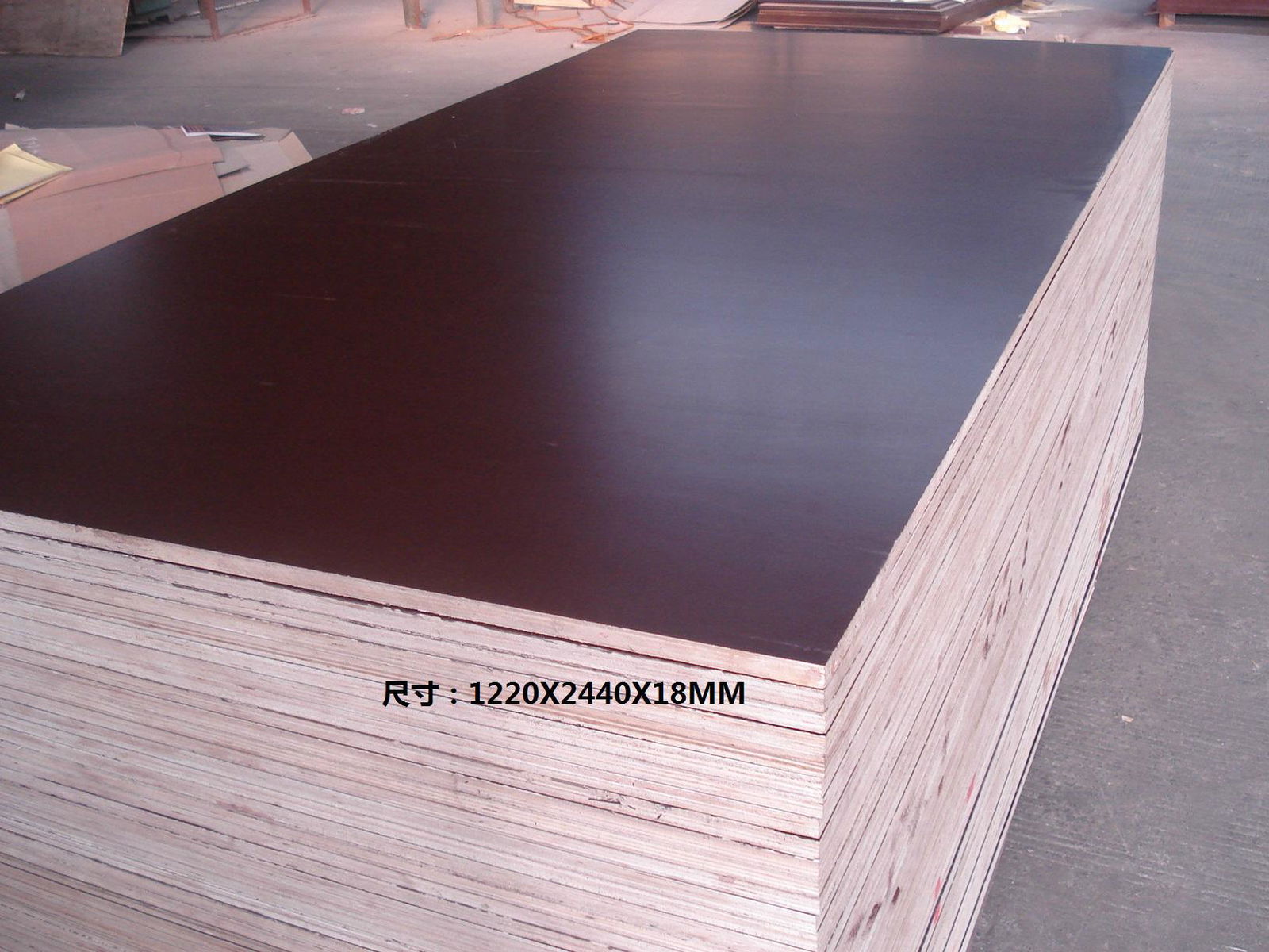 Xingang Construction Plywood Phenolic Plywood 4