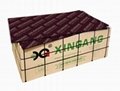 Xg Brown Film Faced Plywood Xingang Brand with High Quality 2