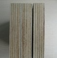 Xg Brown Film Faced Plywood Xingang Brand with High Quality 3