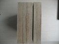 Xg Brown Film Faced Plywood Xingang Brand with High Quality 5