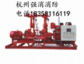 浙江强盾机械泵入式平衡式比例混合装置 2