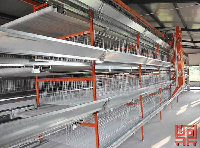 Broiler Cage