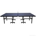 Indoor Table Tennis Table(folding and mobiel)