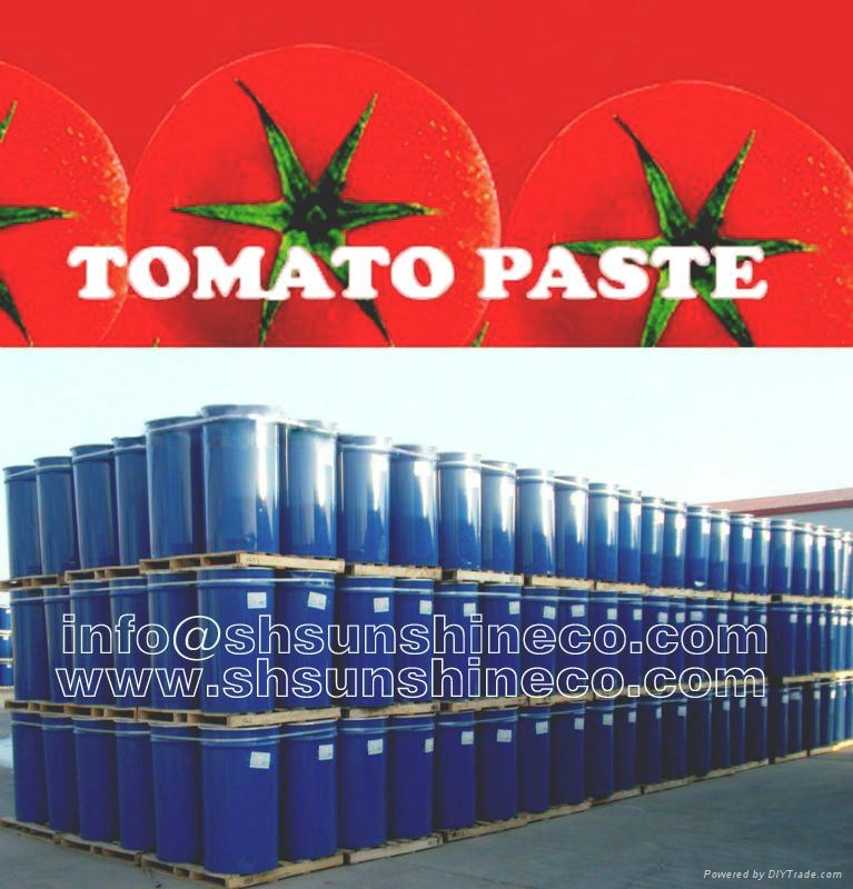 Bulk Tomato Paste SSTP0510 Sunshine or OEM (China Manufacturer