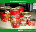 Canned tomato paste