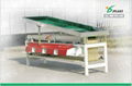 Jujube sorting machine