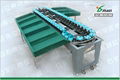 Fruit and vegetable sorting machine 1