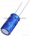 radial aluminum electrolytic capacitor 1